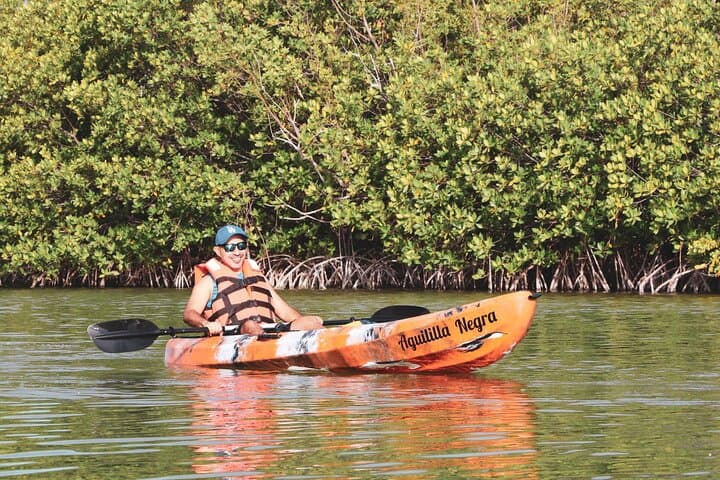 Nichupte Lagoon Mangrove Kayak Tour from Cancun — Guided Wildlife Paddle photo 6