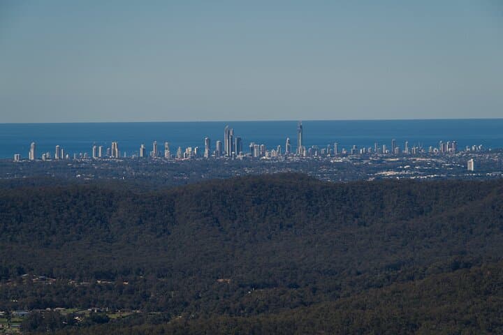 Kangaroos and Mountain Views Day Tour from Gold Coast — Tamborine Mountain Wildlife & Gallery Walk photo 4