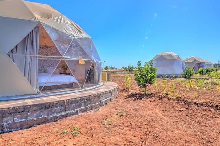 Marrakech Farm Experience: Overnight Organic Farmstay in the High Atlas Foothills photo 4