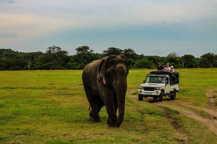 Sri Lanka 7-Day Private Guided Tour: Sigiriya, Kandy, Ella, Mirissa & Galle photo 5
