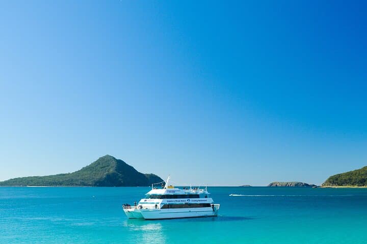 Port Stephens Dolphin Discovery Cruise — Nelson Bay Wildlife & Boom Net Ride