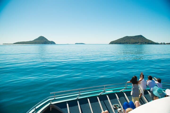 Port Stephens Dolphin Discovery Cruise — Nelson Bay Wildlife & Boom Net Ride photo 6