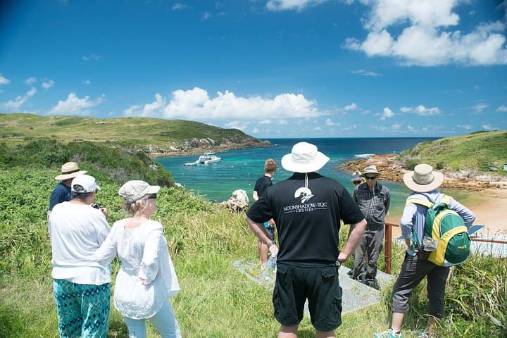 Full-Day Broughton Island Cruise from Port Stephens — Snorkel, Walk & Dolphin Watch photo 2