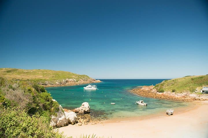 Full-Day Broughton Island Cruise from Port Stephens — Snorkel, Walk & Dolphin Watch