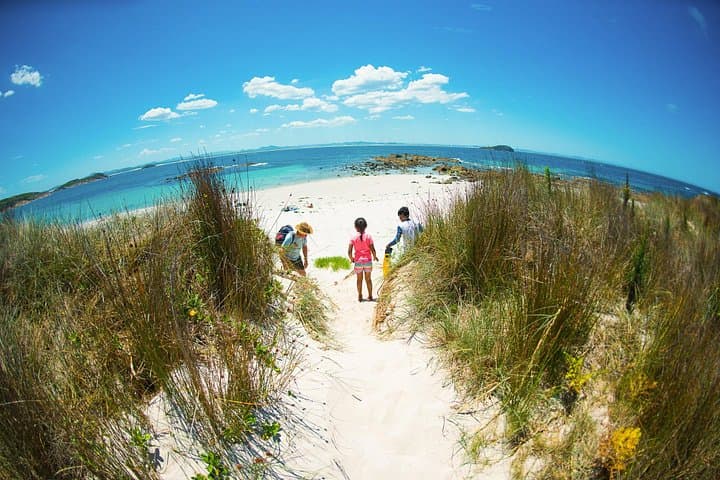 Full-Day Broughton Island Cruise from Port Stephens — Snorkel, Walk & Dolphin Watch photo 3