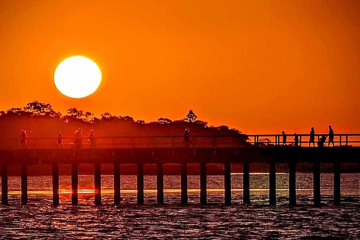 Twilight Bay Cruise Hervey Bay: Sunset Wildlife Cruise on The AMAROO photo 3
