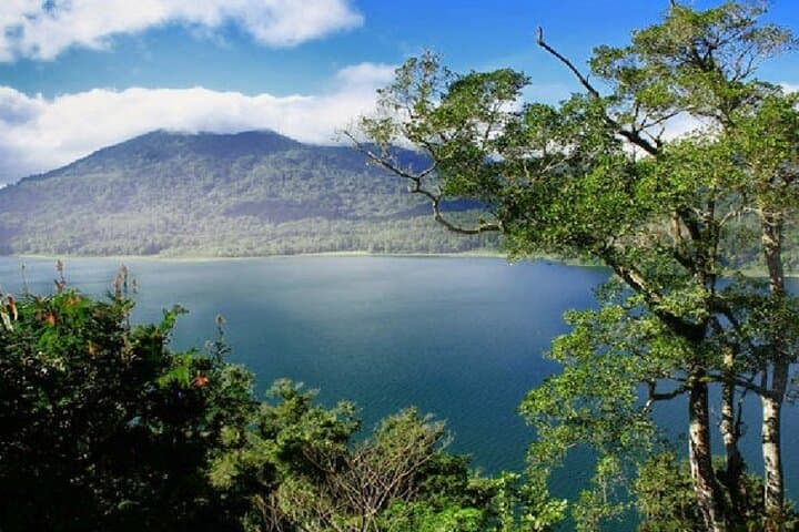 Bedugul Day Tour: Ulun Danu, Wanagiri & Alas Kedaton Monkey Forest photo 4