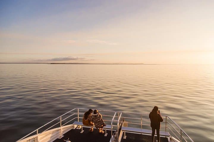 Twilight Bay Cruise Hervey Bay: Sunset Wildlife Cruise on The AMAROO photo 4