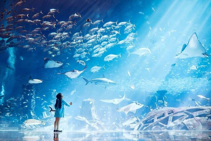 Exploring The Lost Chambers Aquarium: Dubai’s Immersive Underwater Experience photo 2