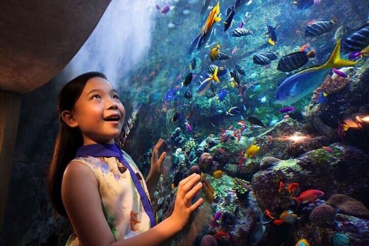 Exploring The Lost Chambers Aquarium: Dubai’s Immersive Underwater Experience photo 4
