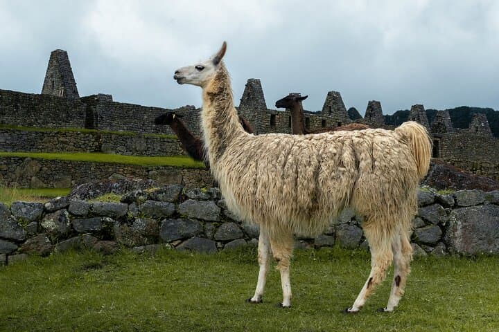 Private Inca Trail Expedition to Machu Picchu — 5-Day Slow-Paced Trek photo 2