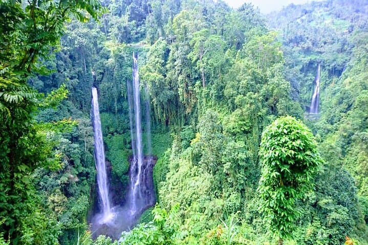 Sekumpul Waterfall to Ulun Danu Beratan: Full-Day Bedugul Private Tour photo 4