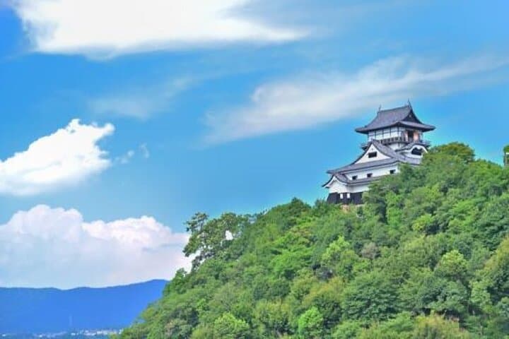 Full-Day Castle Tour in Aichi: Okazaki, Inuyama & Nagoya by Local Train photo 2