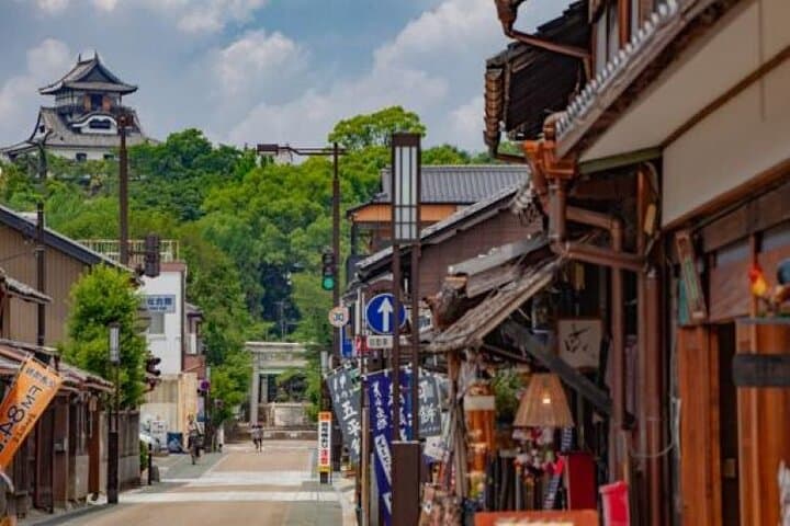 Full-Day Castle Tour in Aichi: Okazaki, Inuyama & Nagoya by Local Train photo 3