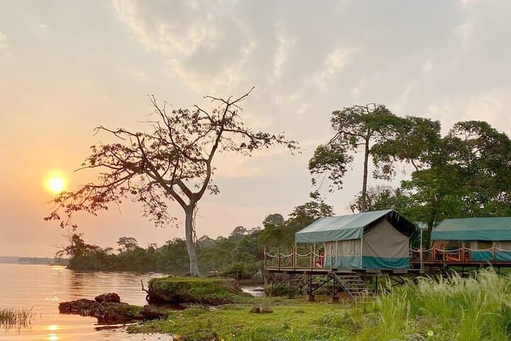 Walindi Point & Ngamba Island: 3-Day Eco-Glamping, Chimpanzees and Lake Victoria Hikes photo 1