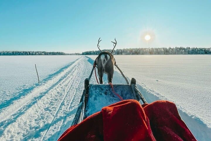 Levi Reindeer Safari: Sledge Ride and Reindeer Farm Visit in Lapland photo 2