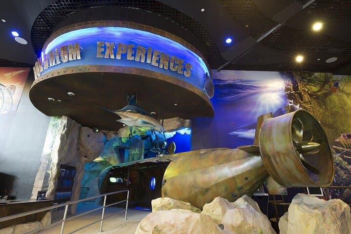 Exploring Dubai Aquarium & Underwater Zoo: A Deep Dive Inside Dubai Mall photo 3
