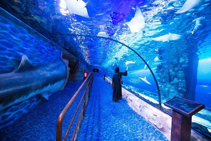 Exploring Dubai Aquarium & Underwater Zoo: A Deep Dive Inside Dubai Mall photo 2