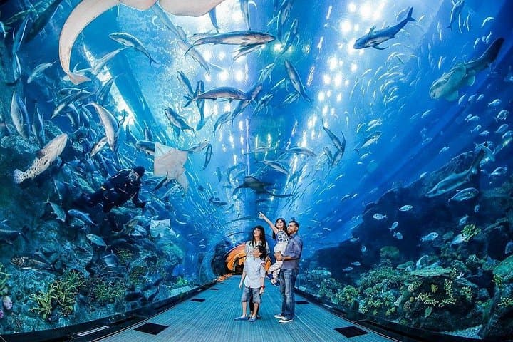Exploring Dubai Aquarium & Underwater Zoo: A Deep Dive Inside Dubai Mall