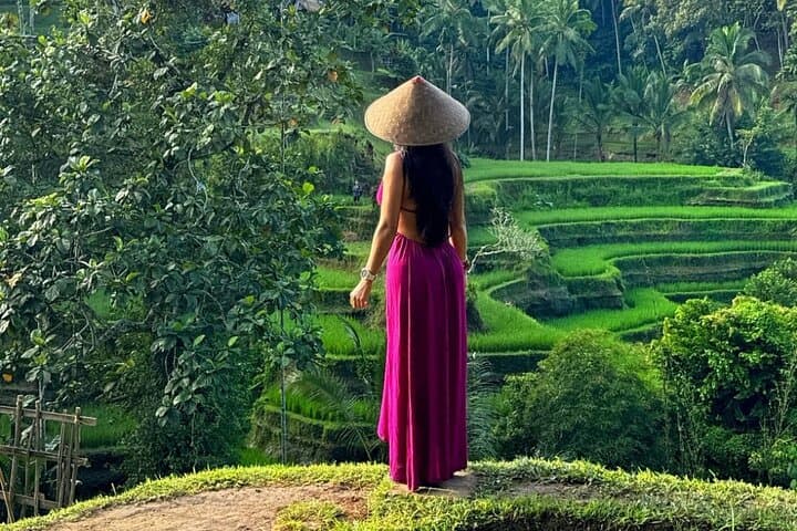 Ubud Day Tour: Monkey Forest, Tirta Empul, Tegalalang Rice Terrace & Waterfall