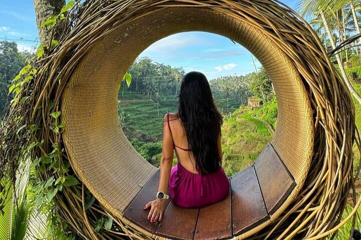 Ubud Day Tour: Monkey Forest, Tirta Empul, Tegalalang Rice Terrace & Waterfall photo 2