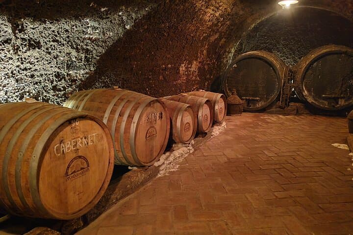 Day Trip to Novi Sad & Fruška Gora: Wine Tasting and Monastery Walks from Belgrade photo 4