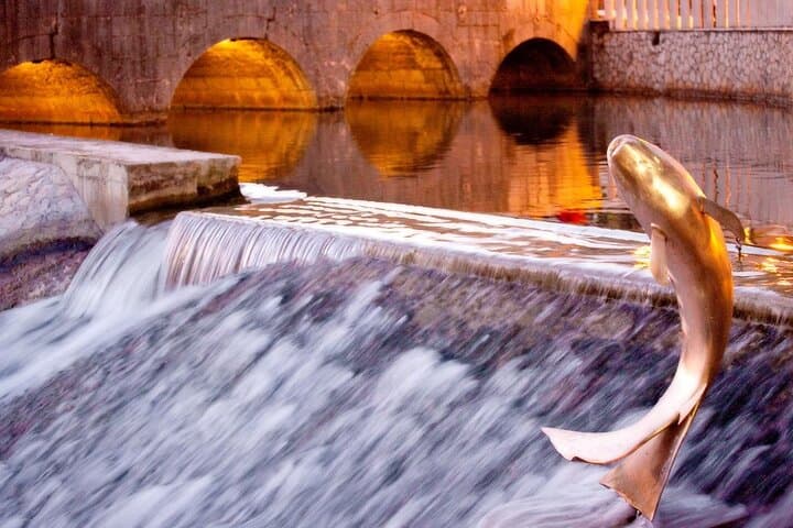 Gourmet E‑Bike Ride to Jadro River Trout Farm — Solin Food & Wine Tour