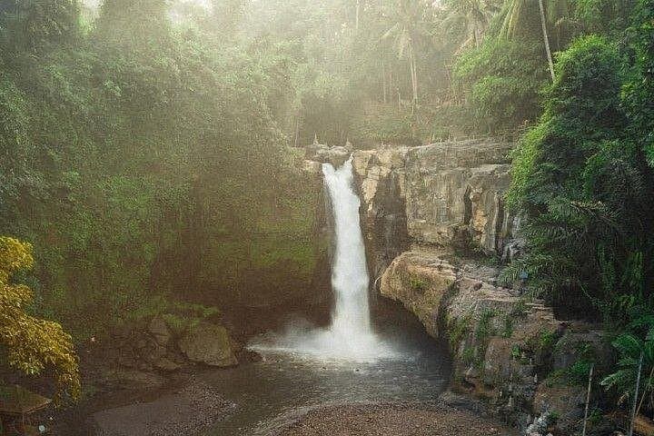 Full-Day Ubud Waterfalls, Rice Terraces & Cultural Tour — Experience Bali’s Heart photo 1