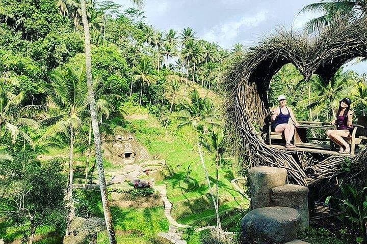 Full-Day Ubud Waterfalls, Rice Terraces & Cultural Tour — Experience Bali’s Heart photo 2