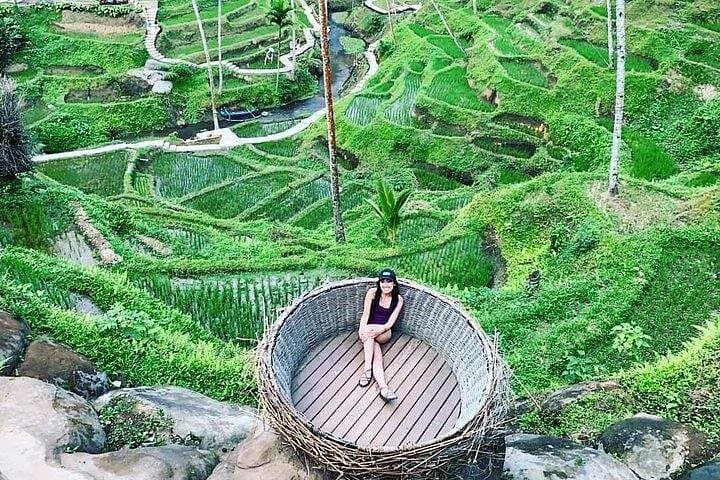 Full-Day Ubud Waterfalls, Rice Terraces & Cultural Tour — Experience Bali’s Heart photo 3