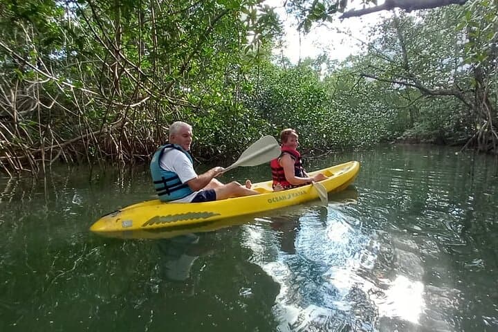 Kayak the Golfo Dulce Mangroves from Playa Blanca, Puerto Jiménez photo 4
