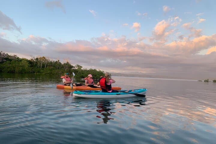 Kayak the Golfo Dulce Mangroves from Playa Blanca, Puerto Jiménez