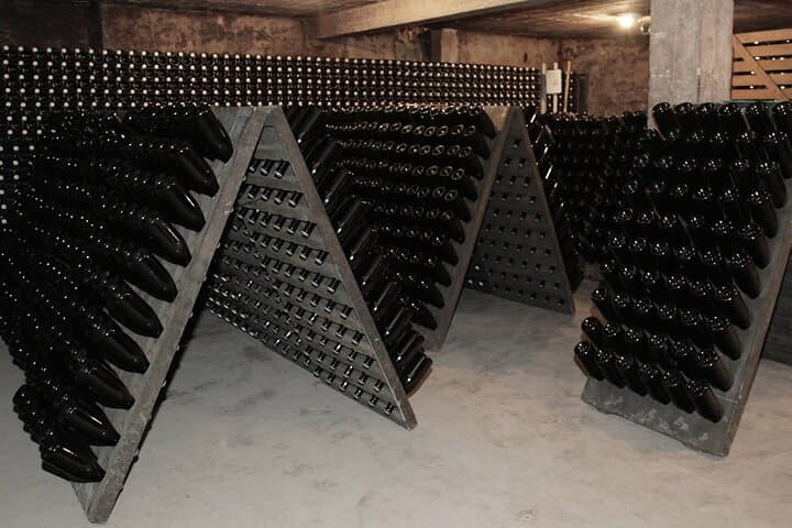 Day Trip to Champagne and Reims: Private Minivan Tour from Paris photo 4
