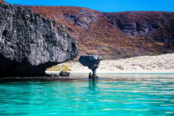 Catamaran to Balandra: Snorkel with Sea Lions & Hidden Beaches from Cabo photo 6