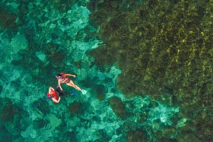 Catamaran to Balandra: Snorkel with Sea Lions & Hidden Beaches from Cabo photo 5