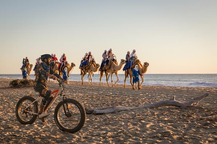 Cabo Electric Bike & Camel Ride: Beach E-Bike, Whales and Mexican Buffet