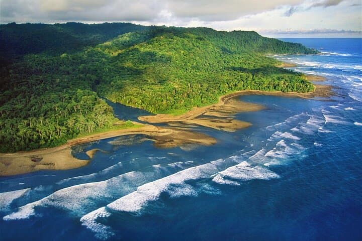 Into Corcovado: 8-Hour Rainforest Safari from Puerto Jiménez photo 2