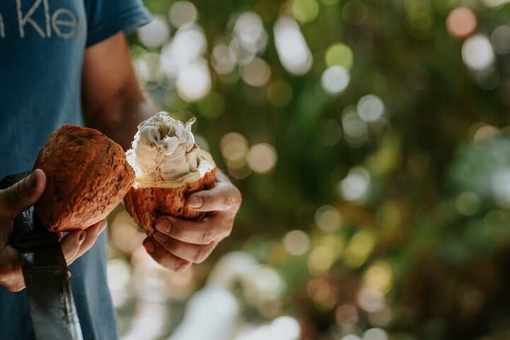 Vanilla, Cacao & Spice Farm Tour Manuel Antonio: Hands-On Tasting & Rainforest Views photo 2