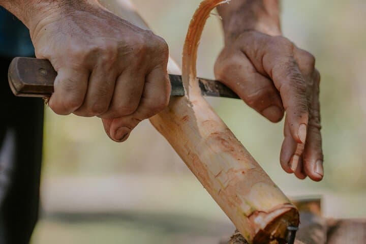 Vanilla, Cacao & Spice Farm Tour Manuel Antonio: Hands-On Tasting & Rainforest Views photo 3