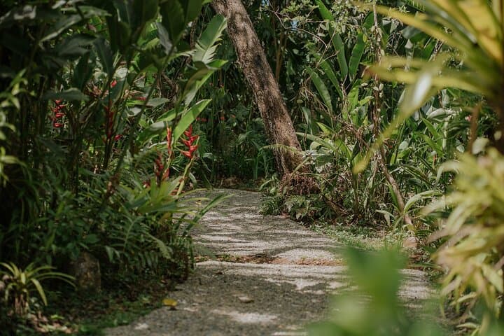 Vanilla, Cacao & Spice Farm Tour Manuel Antonio: Hands-On Tasting & Rainforest Views photo 4