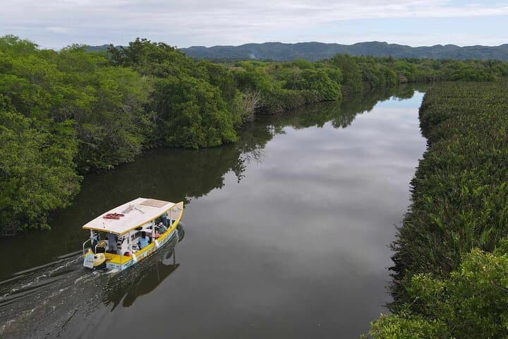 Negril River Nature Boat Safari: Scenic Wildlife & History Tour photo 1