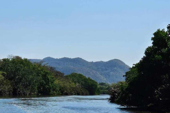 Negril River Nature Boat Safari: Scenic Wildlife & History Tour photo 3