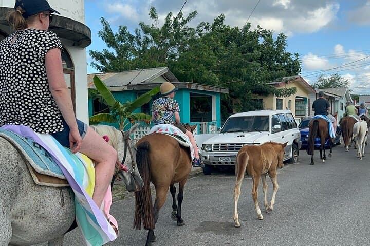 Gros Islet Horseback Riding & Horse Swim with Dore's Riding Stable photo 2