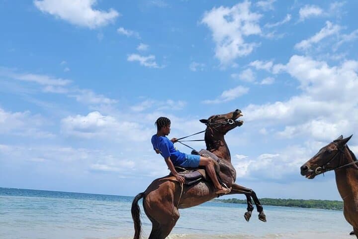 Montego Bay Beach Horseback Ride — 45-Minute Guided Experience photo 4