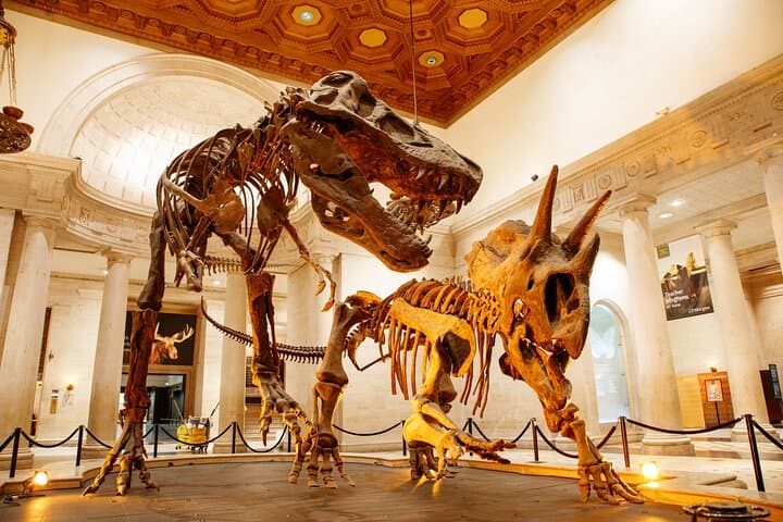 Explore the Natural History Museum of Los Angeles County: Dino Halls, Gems & Nature Gardens photo 3