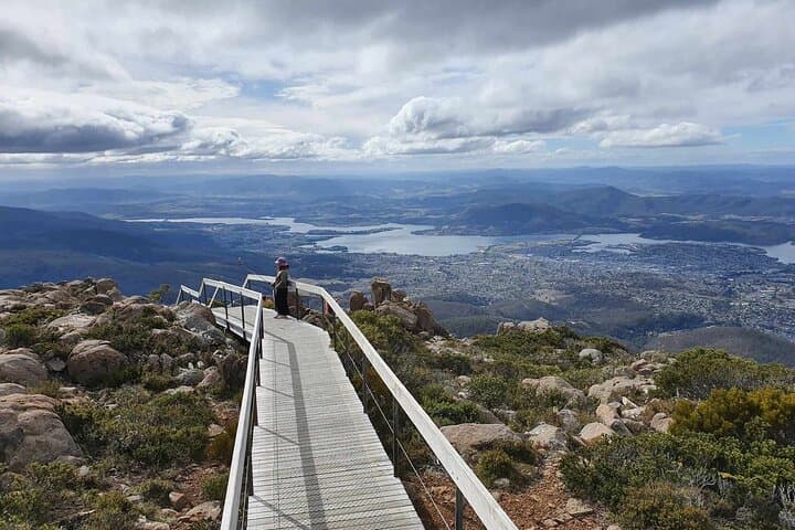 Mt Wellington Afternoon Small Group Driving Tour — Hobart Views & Alpine Walks photo 4