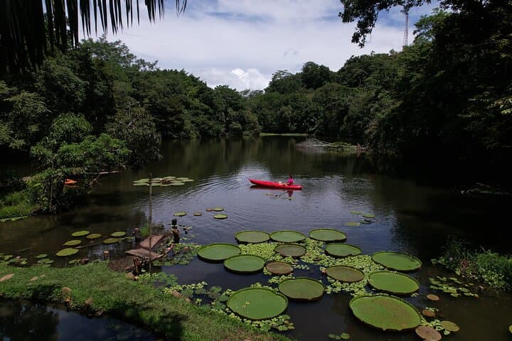 All-Inclusive Adventure at Los Chocuacos — Birding, Lagoon Paddling & Tarzan Swing photo 3