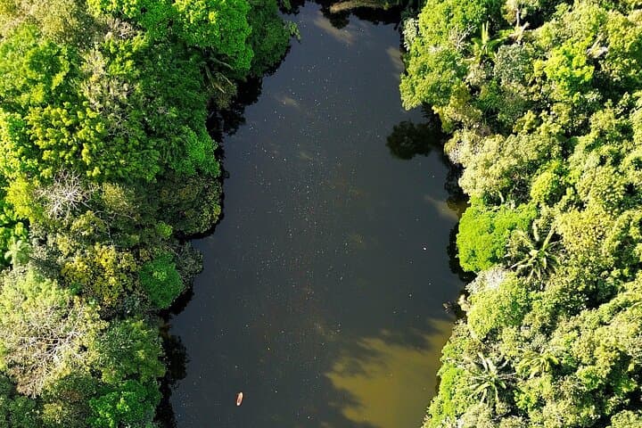 All-Inclusive Adventure at Los Chocuacos — Birding, Lagoon Paddling & Tarzan Swing photo 4
