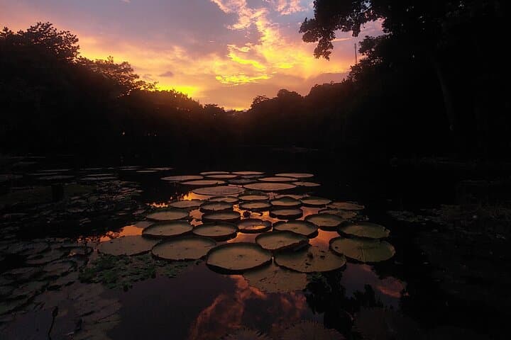 All-Inclusive Adventure at Los Chocuacos — Birding, Lagoon Paddling & Tarzan Swing photo 5