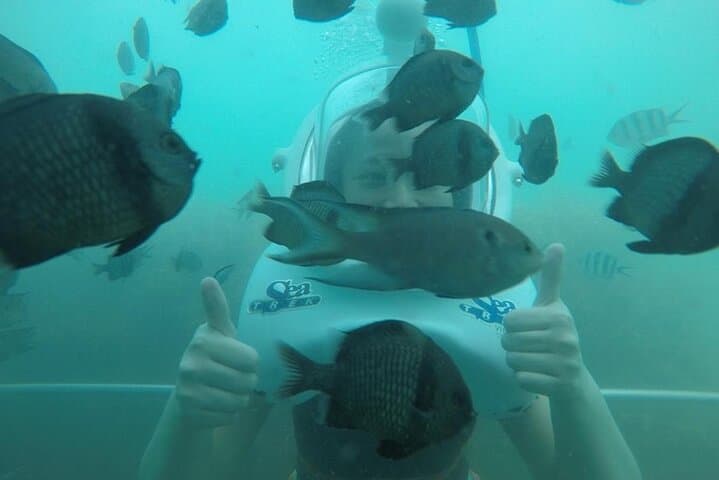 Cham Island Sea Walk and Snorkel: Speedboat Day Trip from Hoi An photo 3